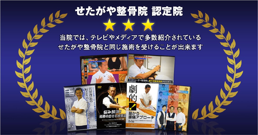 せたがや整骨院認定院